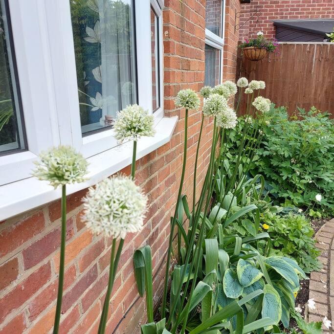 Cheerful, Cosy, One Bedroom Home With Patio And Parking Newbury  Eksteriør billede
