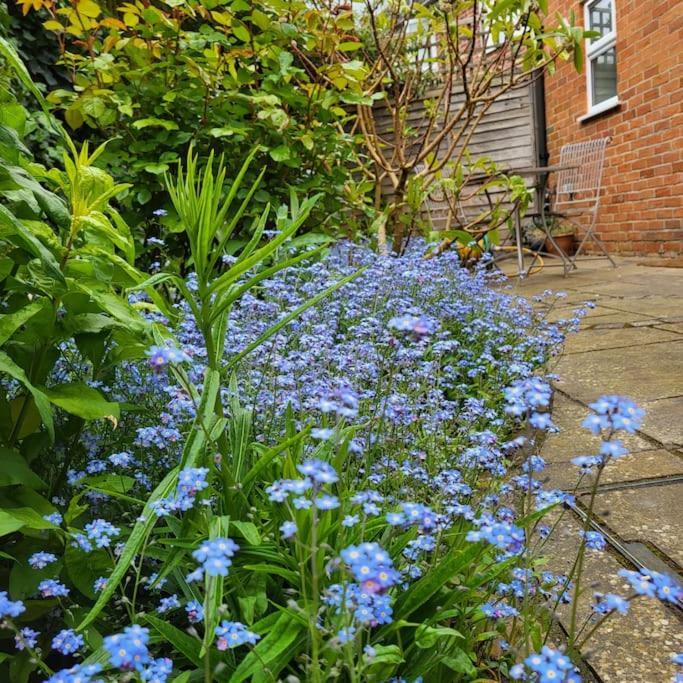 Cheerful, Cosy, One Bedroom Home With Patio And Parking Newbury  Eksteriør billede